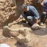 Researchers uncover remains of Ice Age mastodons in Peru