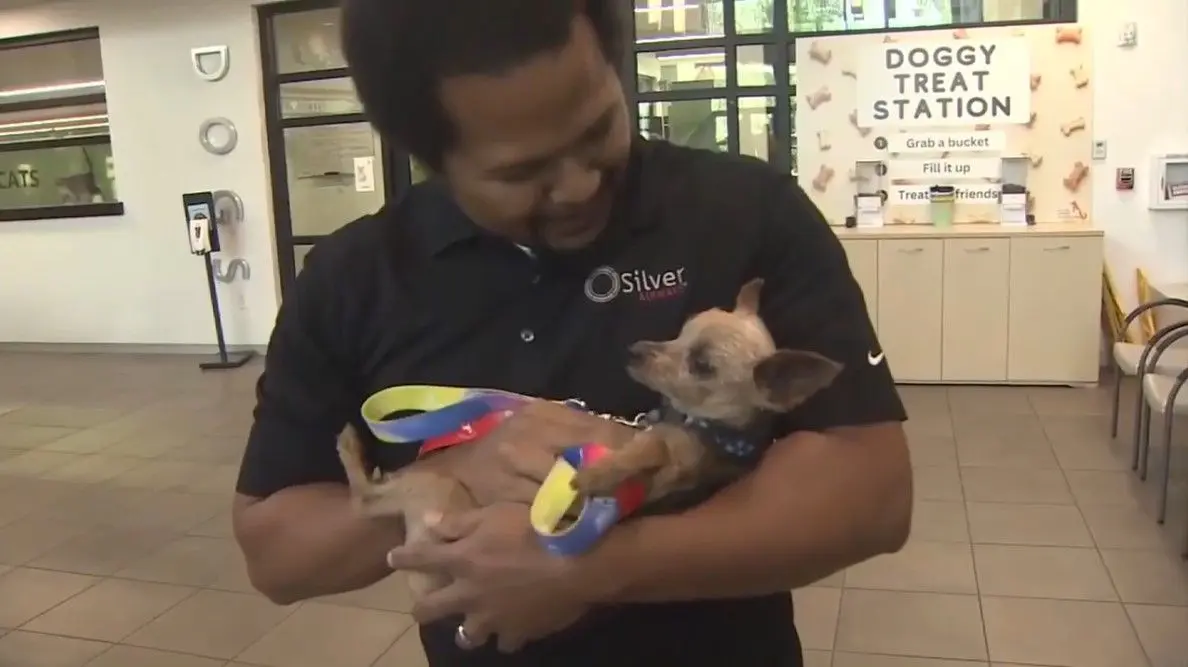 Georgia family reunites with Yorkie in Fort Lauderdale after being apart for 6 years