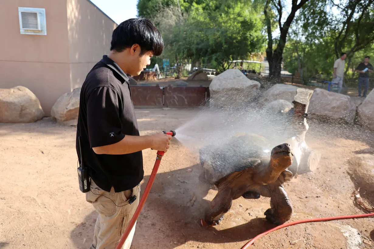 FILE PHOTO: Showers and icy treats help animals endure Arizona's historic heat wave