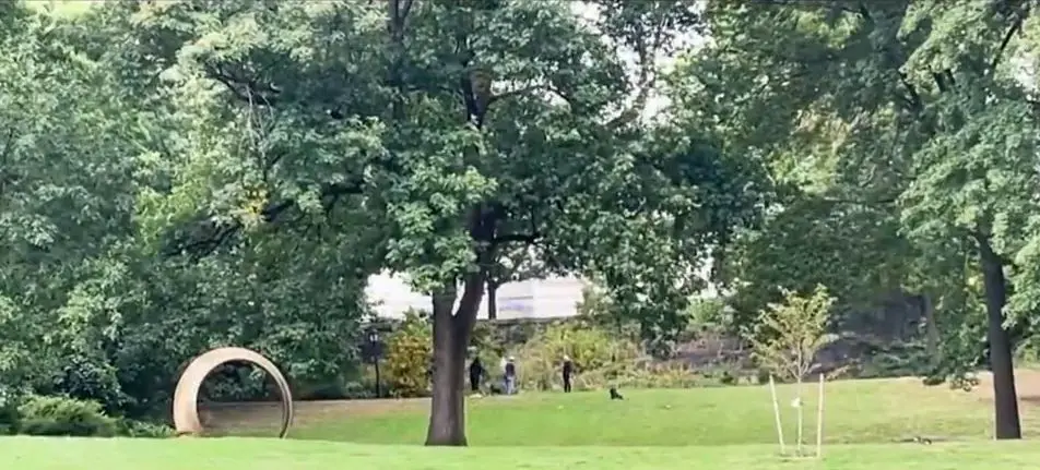 Century-old trees die in Harlem parks as erosion pattern emerges