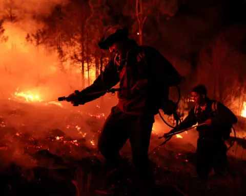 Cattle burn as ‘monster’ wildfires rage in Argentina ranchlands