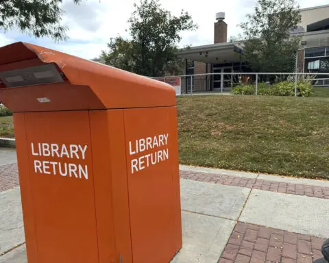 Hey, where's your card? Another Detroit-area library deals with bugs