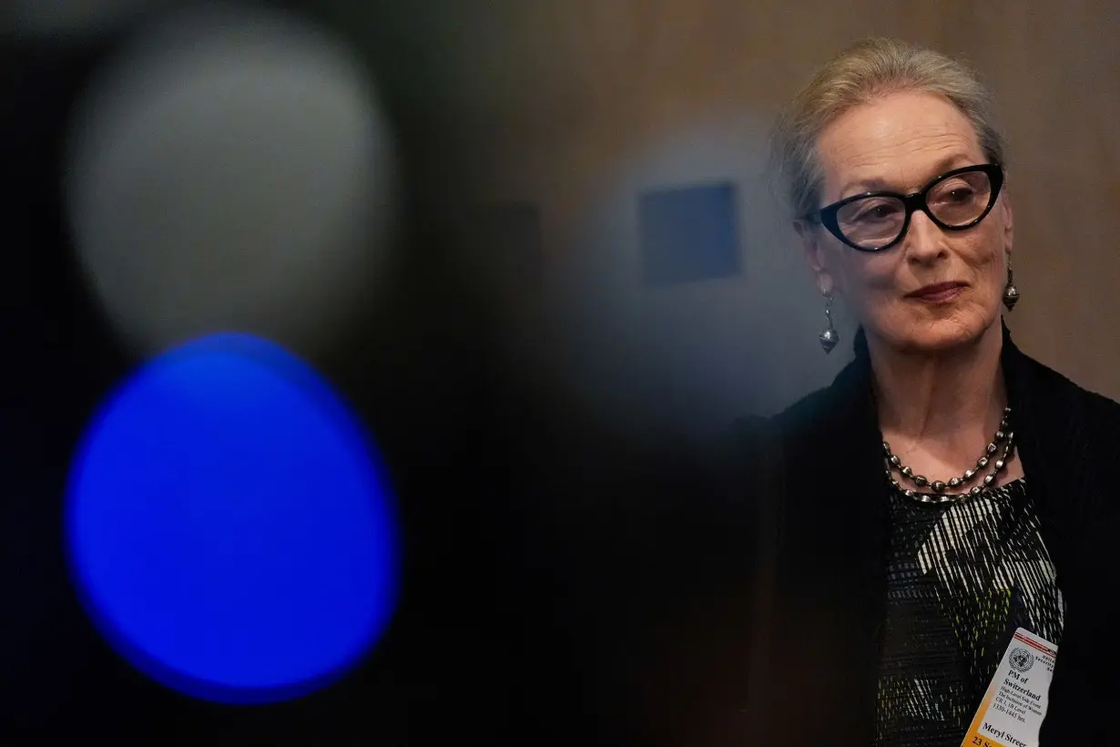 Meryl Streep takes on the Taliban with a story about cats, squirrels and birds