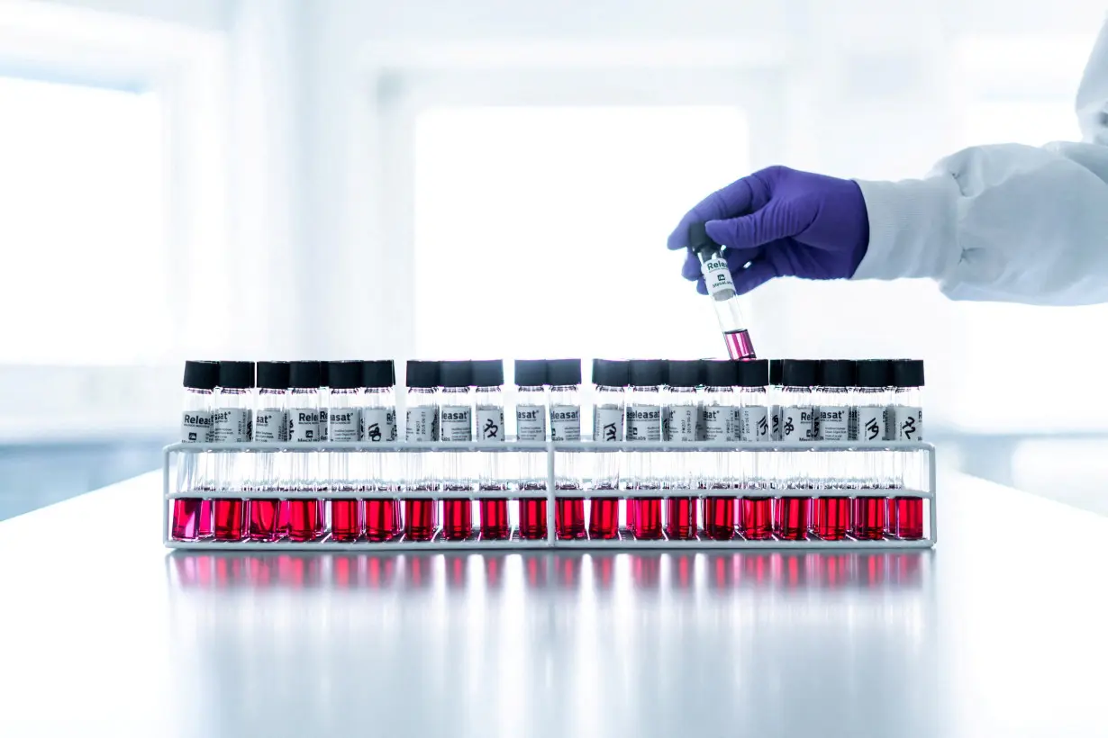 FILE PHOTO: Handout picture of a Bavarian Nordic research team member holding a test tube