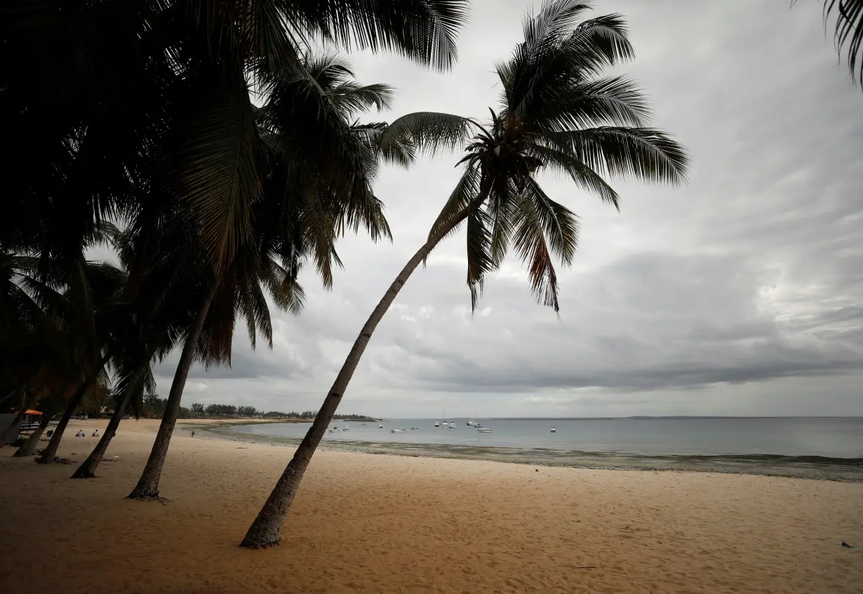 FILE PHOTO: Palms are seen on an empty tourist beach in Pemba, Mozambique