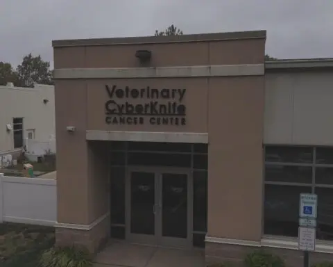 Pennsylvania vet offers world's only CyberKnife cancer treatment for cats and dogs