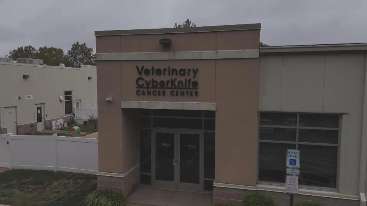 Pennsylvania vet offers world's only CyberKnife cancer treatment for cats and dogs