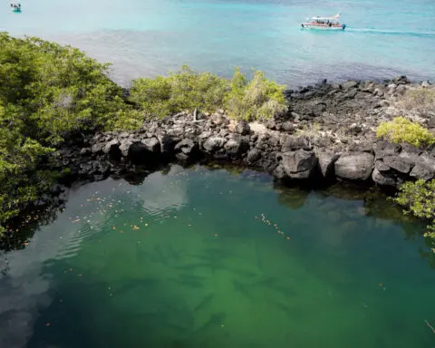 Record Galapagos debt-for-nature swap scrutinized over transparency irregularities claims