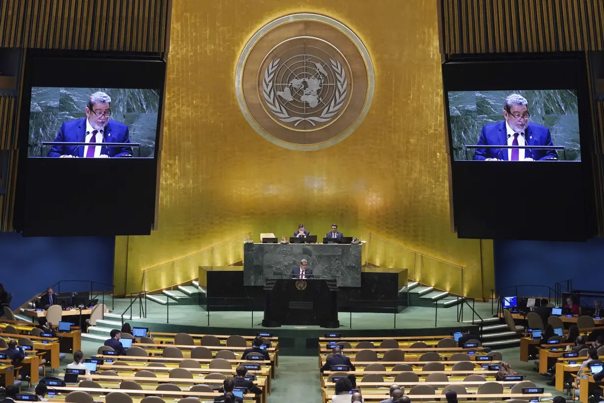 UN General Assembly Saint Vincent and the Grenadines