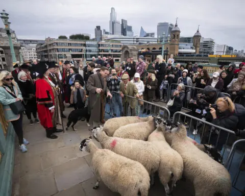 Damian Lewis herds sheep over a London bridge in homage to a medieval tradition