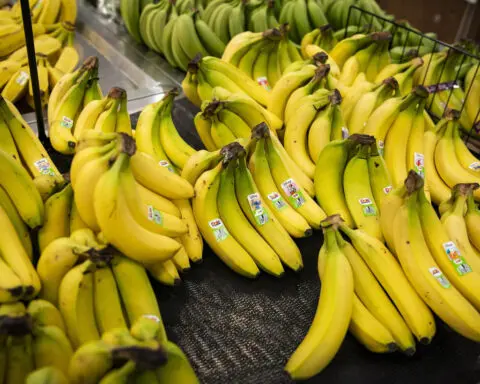 Expect shortages of bananas, booze, chocolate and cherries if there’s a long port strike