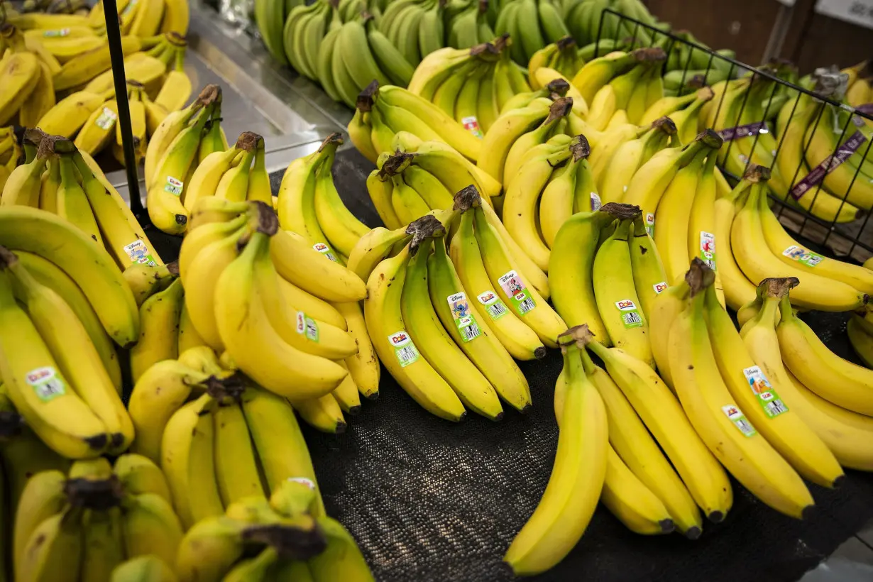 Expect shortages of bananas, booze, chocolate and cherries if there's a long port strike