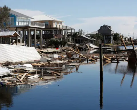 Harris, Trump 2024 campaigns interrupted by Hurricane Helene