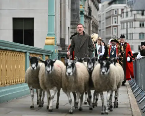 Why Damian Lewis is herding sheep in London