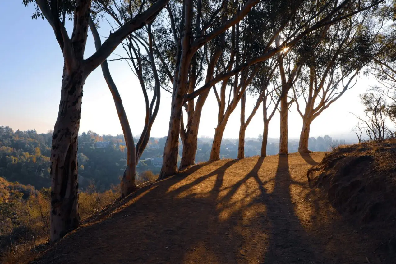 Topanga Canyon