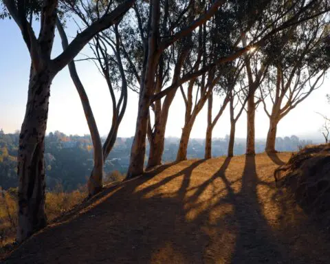 Hike, act, create: Topanga Canyon's triple threat to boredom