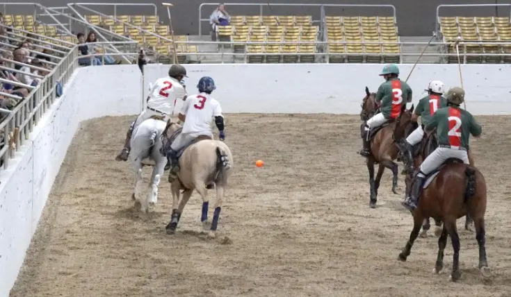 $5 Tournament Tickets, Horse-Actors and Wine Tastings: LA Equestrian Center Brings Polo to Griffith Park