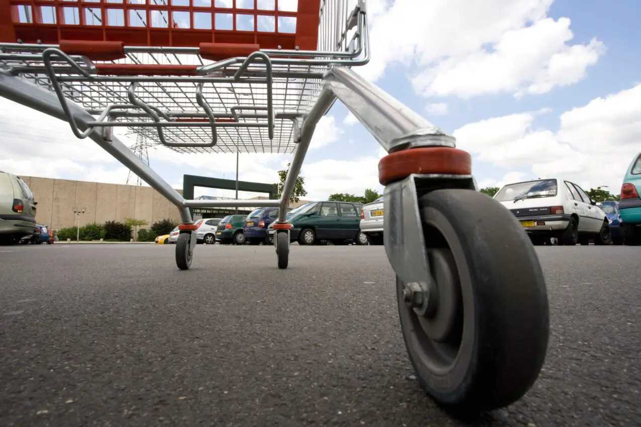 Mom's shopping cart decision challenges social norms