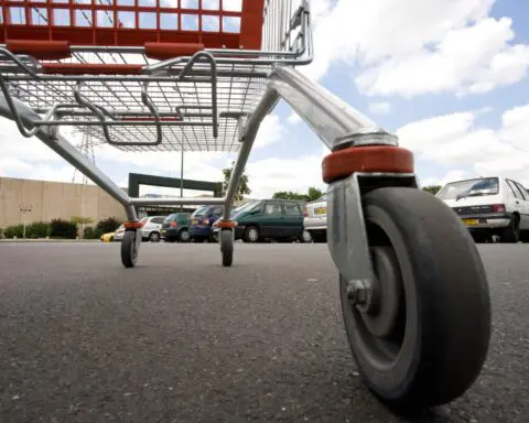 Mom's shopping cart decision challenges social norms