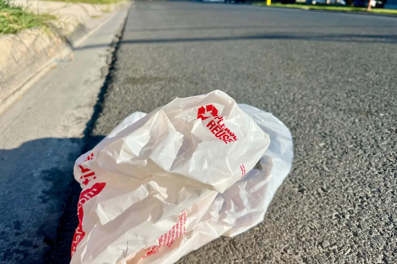 Plastic bags outlawed again in California as hidden flaw in former ban exposed