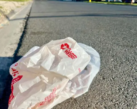 Plastic bags outlawed again in California as hidden flaw in former ban exposed