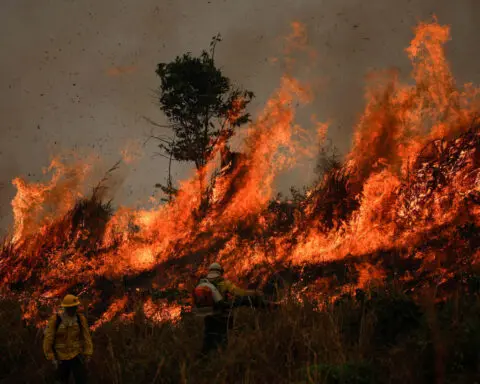 Fires in Brazil's Amazon rainforest region surge for third month