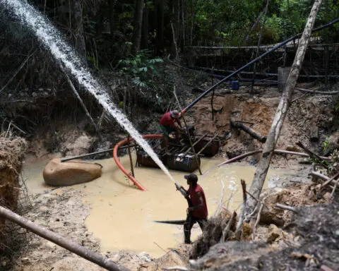 Brazilian state to host COP30 climate summit defends gold mining rules