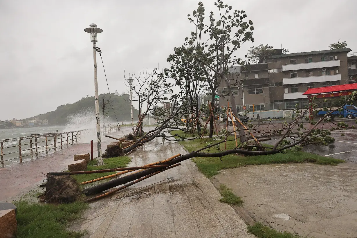 A view of uprooted trees as Typhoon Krathon approaches in Kaohsiung