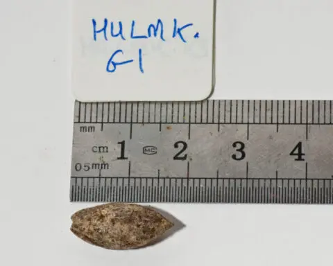 Lost biblical plant with medicinal properties resurrected from 1,000-year-old seed
