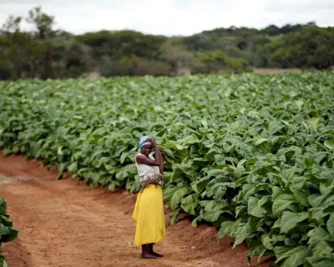 Zimbabwe compensates foreign and local farmers over land invasions