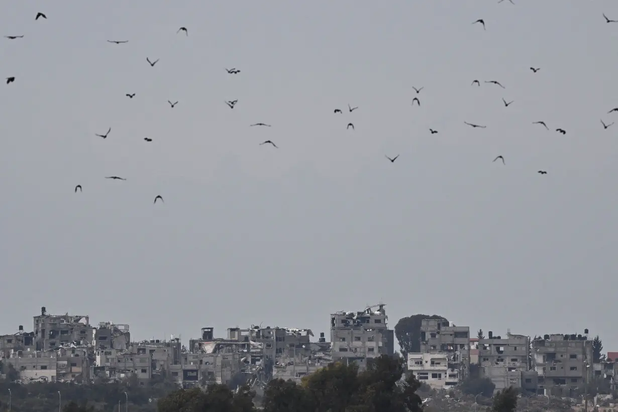 FILE PHOTO: Birds fly near bombed-out buildings in central Gaza Strip