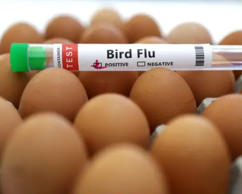 Sanofi, GSK, CSL tapped to expand US bird flu vaccine supply