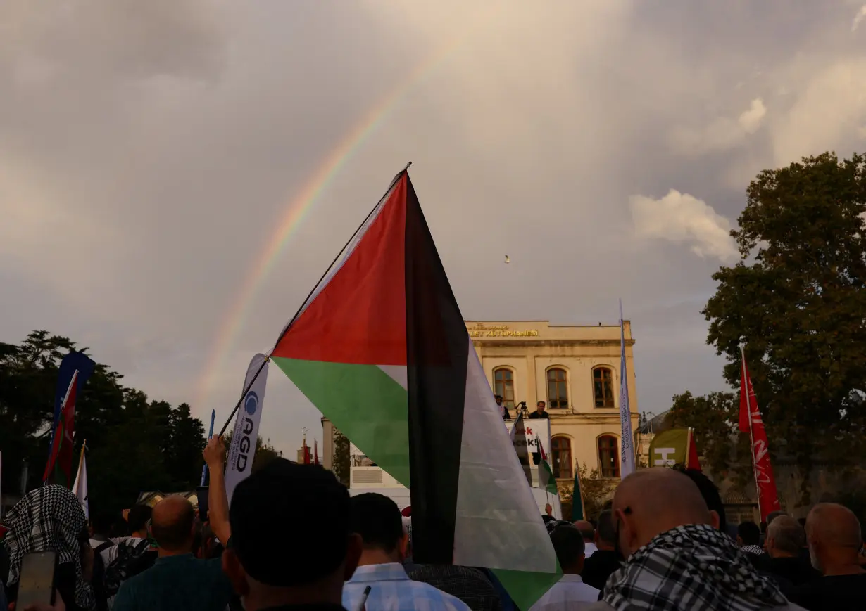 People demonstrate in support of Palestinians in Gaza, in Istanbul