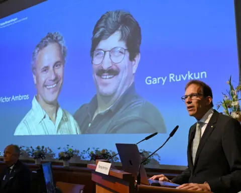 Nobel Prize in medicine goes to two American biologists for work on the discovery of microRNA