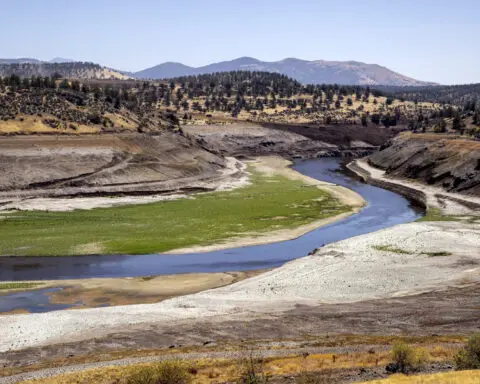 Salmon swim freely in the Klamath River for 1st time in a century after dams removed