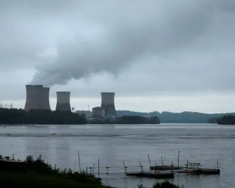 US looks to resurrect more nuclear reactors, White House adviser says