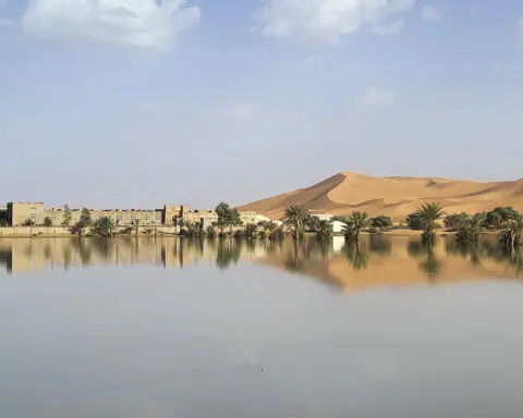 Water gushes through sand dunes after a rare rainfall in the Sahara desert