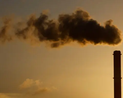 Global energy-related CO2 emissions set to peak this year, consultancy DNV says