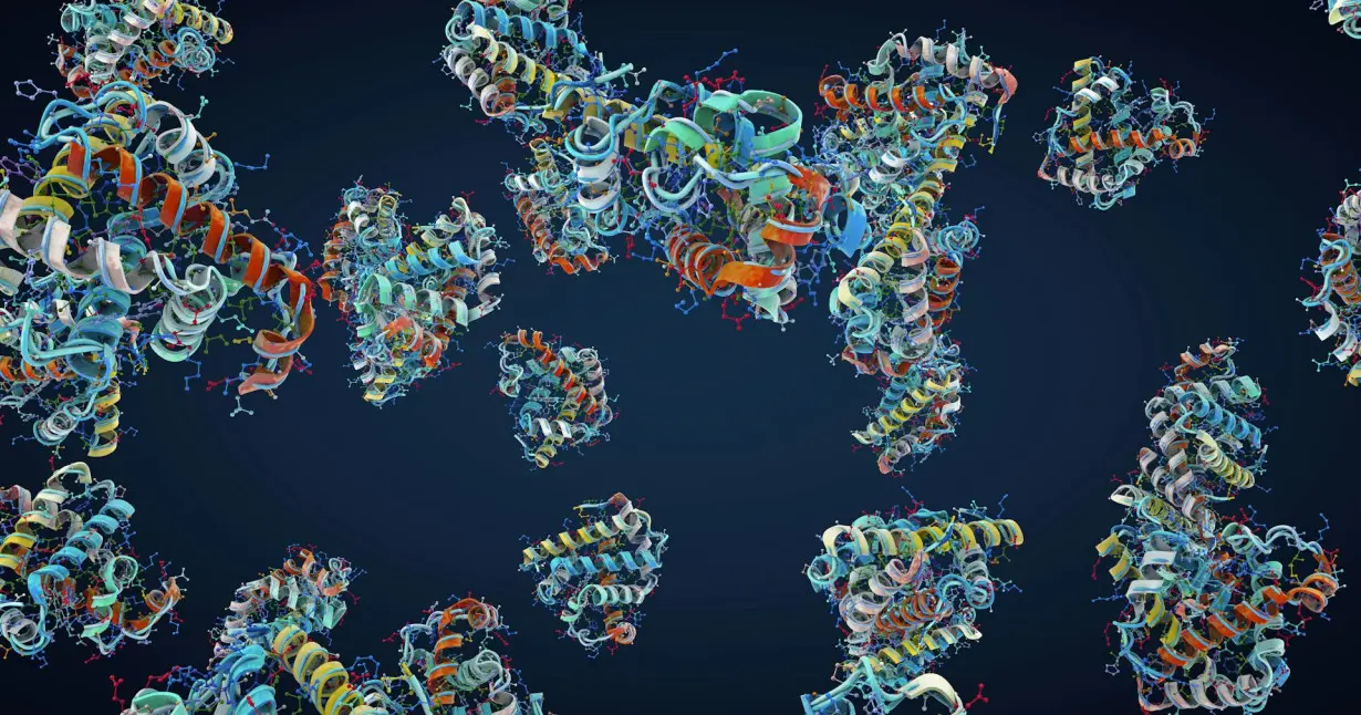 Machine learning cracked the protein-folding problem and won the 2024 Nobel Prize in chemistry