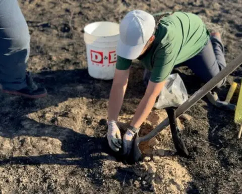 Inmates in Idaho work to restore sagebrush habitat following Plex Fire