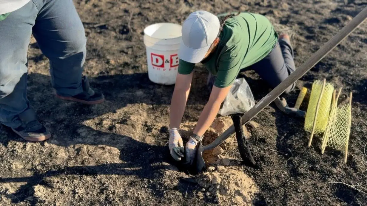 Inmates in Idaho work to restore sagebrush habitat following Plex Fire