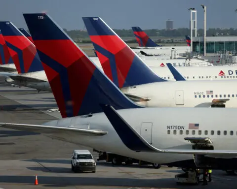 Delta warns of revenue hit from US presidential election