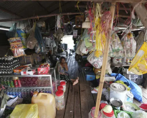 Cambodian fishermen turn to raising eels as Tonle Sap lake runs out of fish