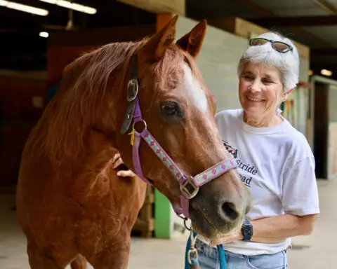 How horses can soothe the soul and help your mental health