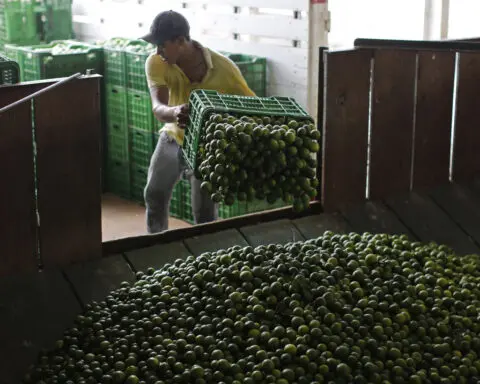 Mexico sends 660 soldiers, National Guard to protect lime growers suffering extortion by cartels