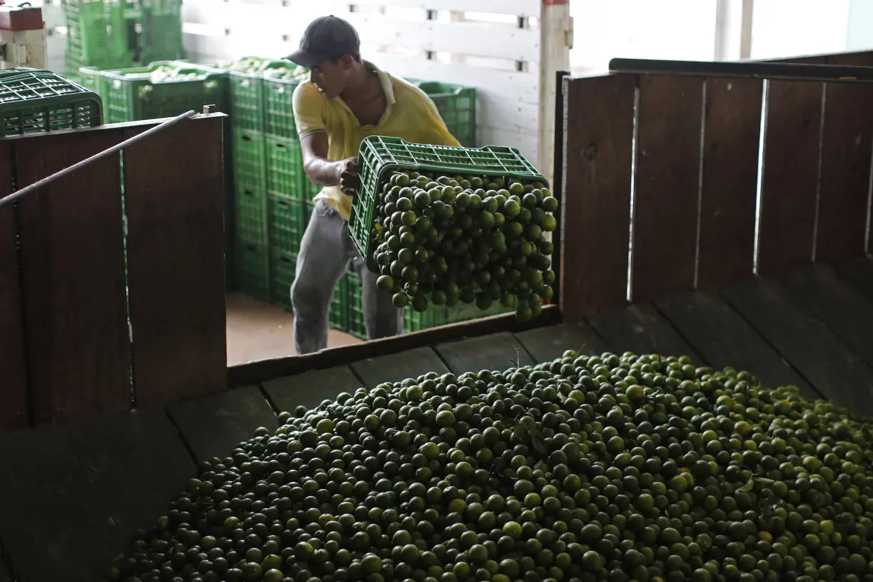 Mexico Limes Extortion