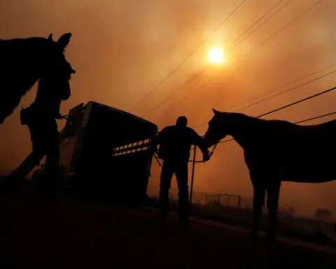 Is your pet part of your disaster plan?