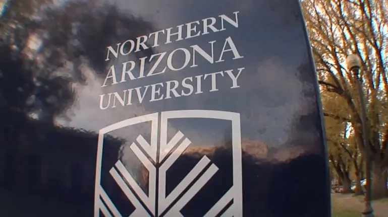 Students treated for rabies after bats found in NAU dorm; some living with strangers off campus