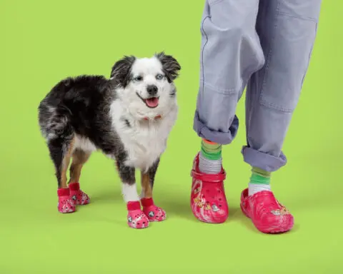 New Croc clogs mean matching togs for your dogs