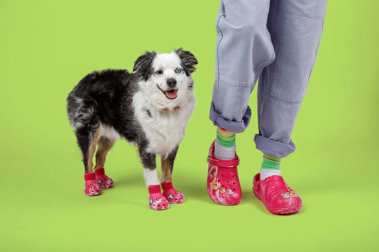 New Croc clogs mean matching togs for your dogs